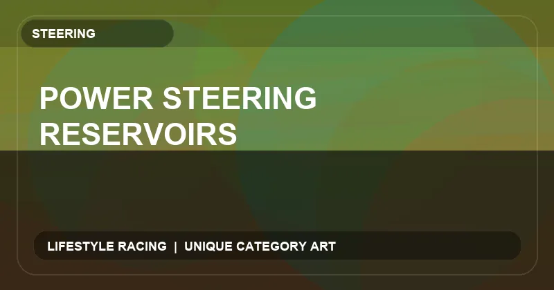 Power Steering Reservoirs